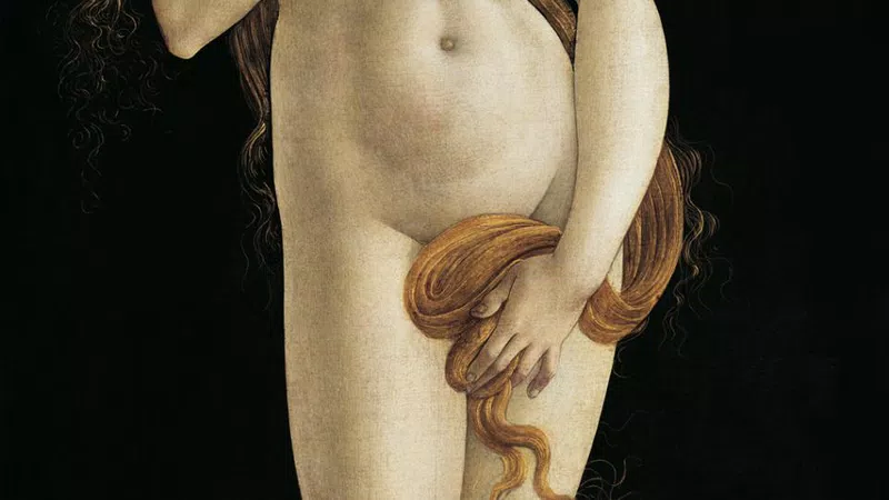 Venuše
