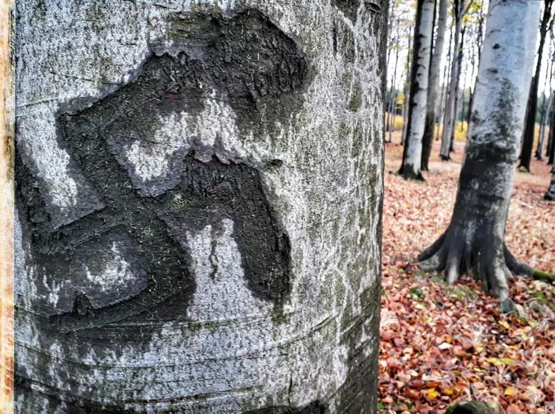 Ve stínu hákového kříže