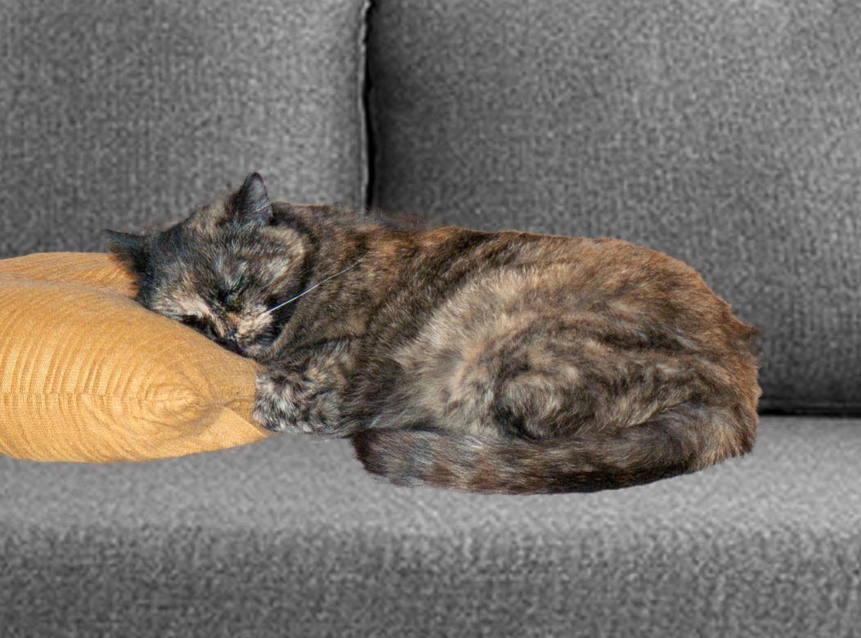 Přiblblý básničky a čarovná kočička 10/14