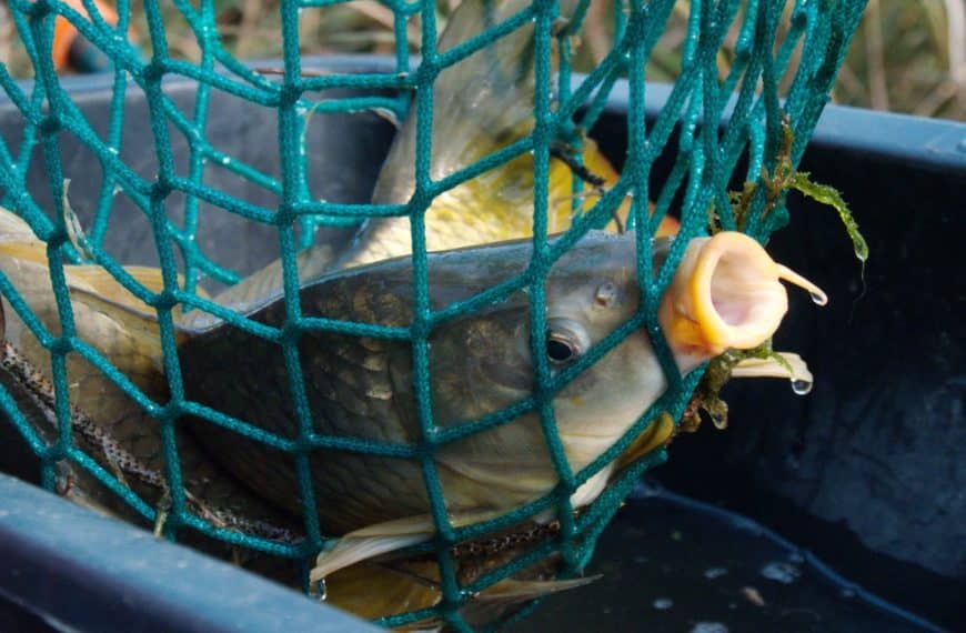 Vánoční příběh 🇨🇿