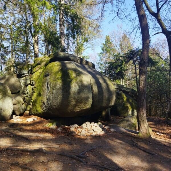 Není nad pořádnou prdel 🇨🇿