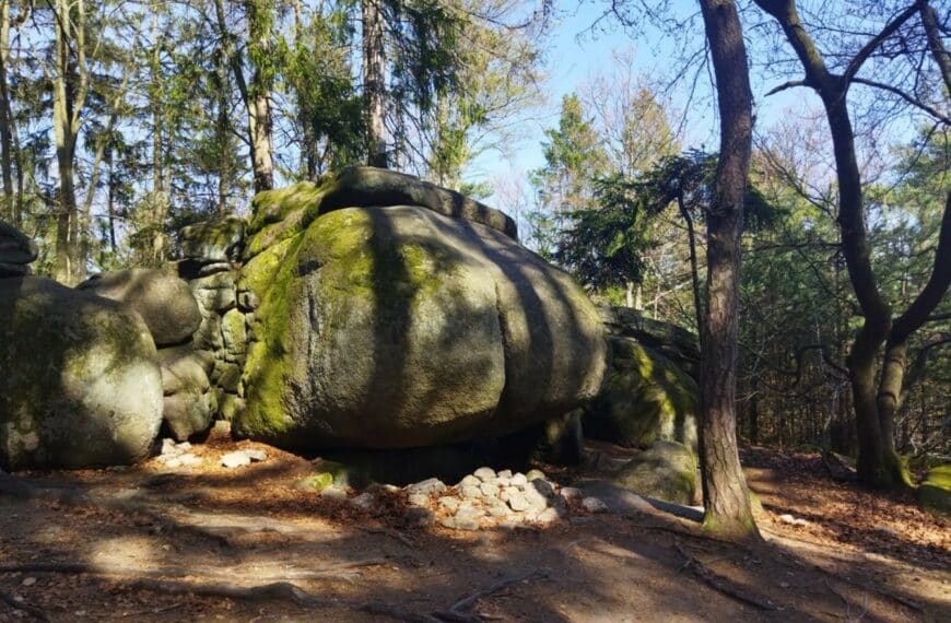Není nad pořádnou prdel 🇨🇿