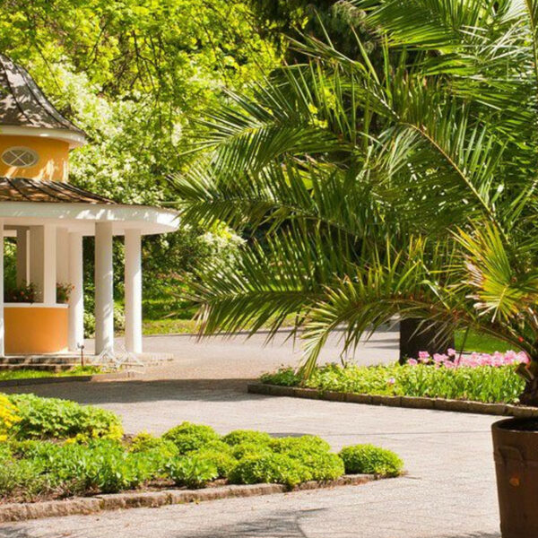 Čtvrteční večer 02 🇨🇿