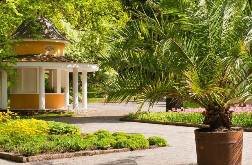 Čtvrteční večer 02 🇨🇿